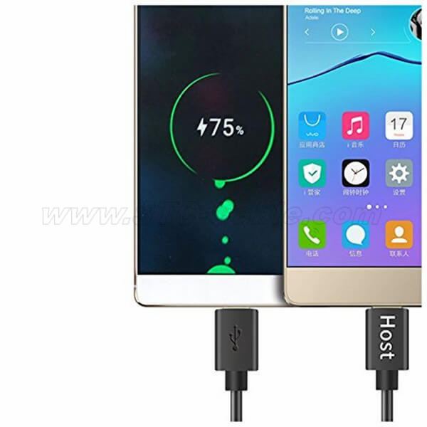 https://www.stc-cable.com/type-c-to-micro-usb-b-otg-cable.html